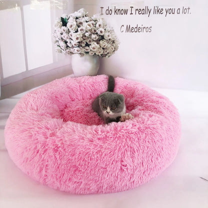 Removable and Washable Pet Bed