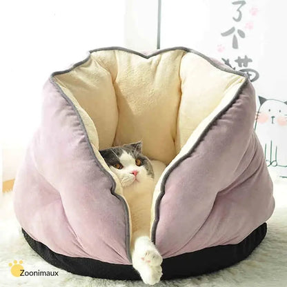 Cat and Dog Pet Bed